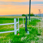 Timeless electric fence along a roadside during the morning sunrise.