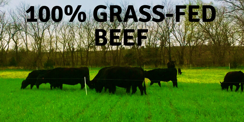 100% Grass-fed and Finished beef with black cows on green winter wheat.