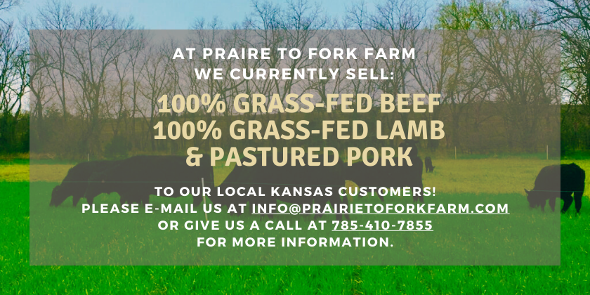 Beef, lamb, pork for sale with black cow picture