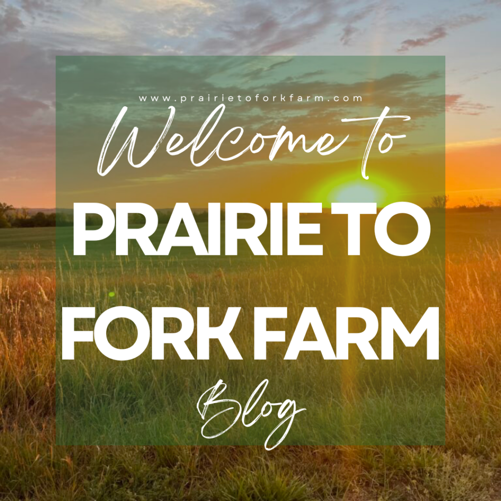 Welcome to Prairie to Fork Farm blog with sunrise picture of the Praire